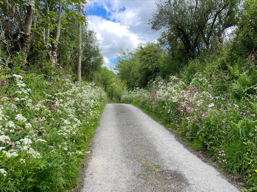 The beach at Poppit Sands